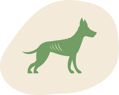 Dünner Hund