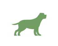 Großer Hund
